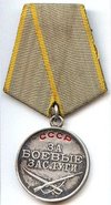 photo of Medal for Combat Service medal